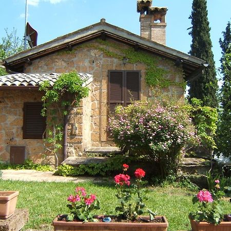 B&B Casaselita Orvieto Eksteriør bilde