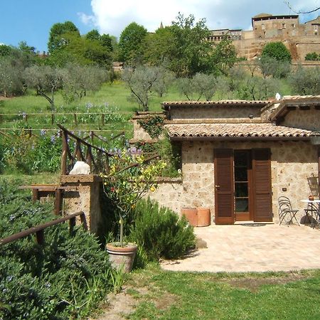 B&B Casaselita Orvieto Eksteriør bilde