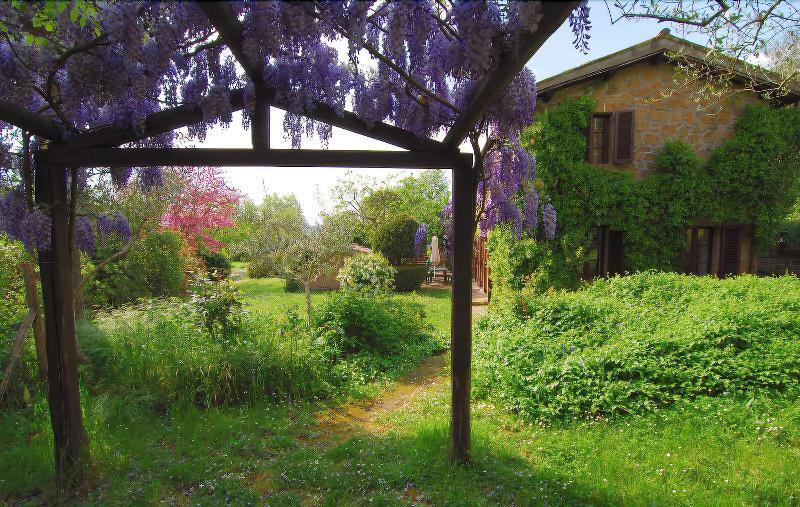 B&B Casaselita Orvieto Eksteriør bilde