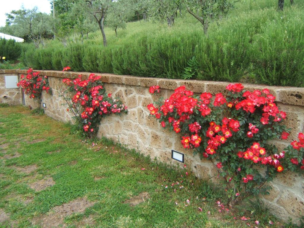 B&B Casaselita Orvieto Eksteriør bilde